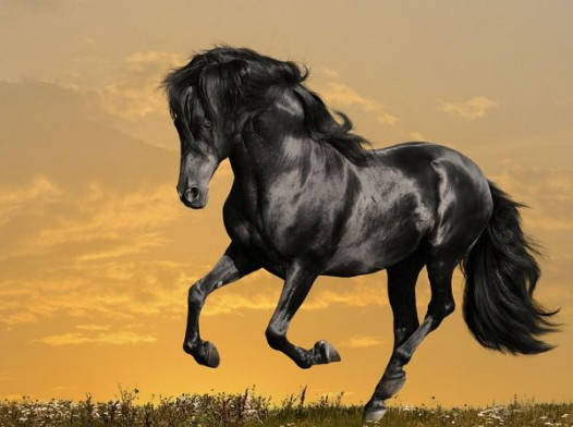 赫塔菲面临艰巨考验,需迎难而上 赫塔菲面临艰巨考验,需迎难而上