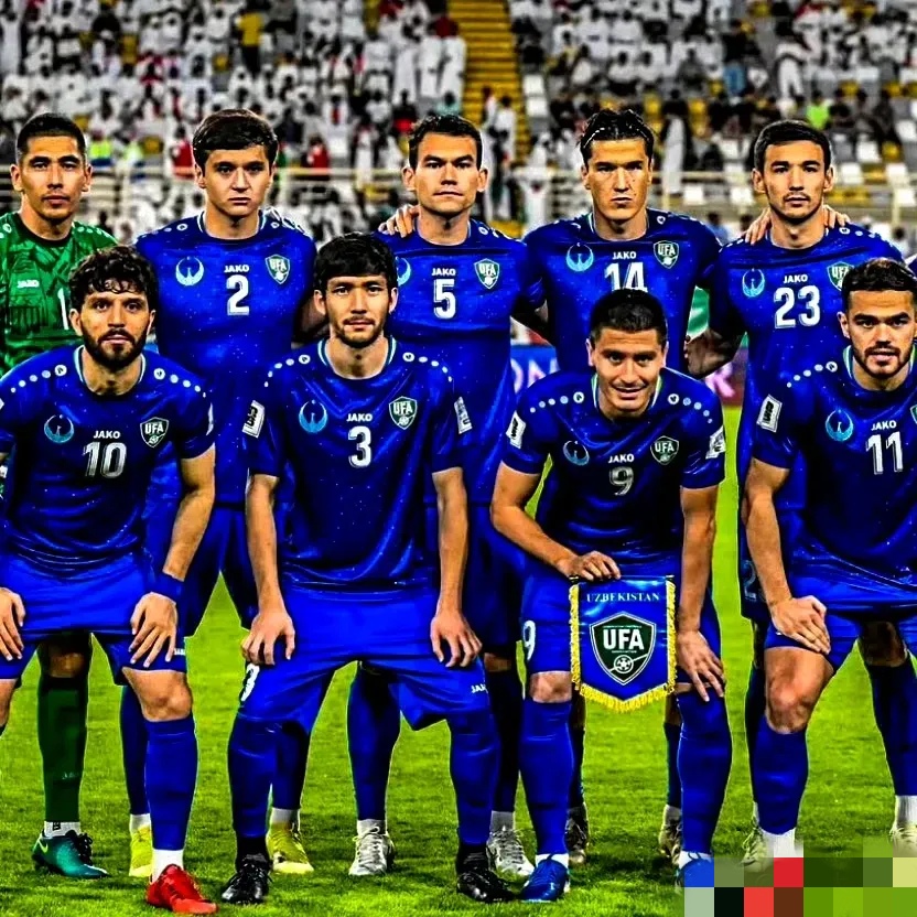 B体育体育网站入口-阿联酋队球员闪光，带领球队晋级