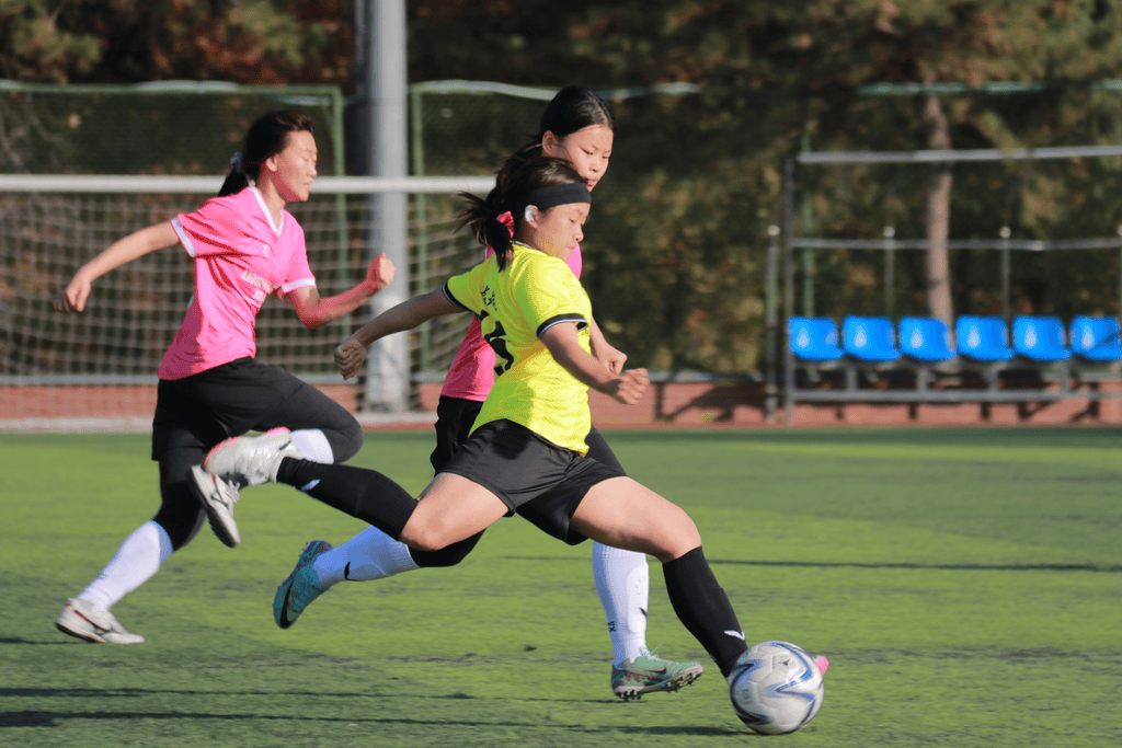 B体育体育直播-热力十足，国际女子足球赛事备受瞩目的简单介绍