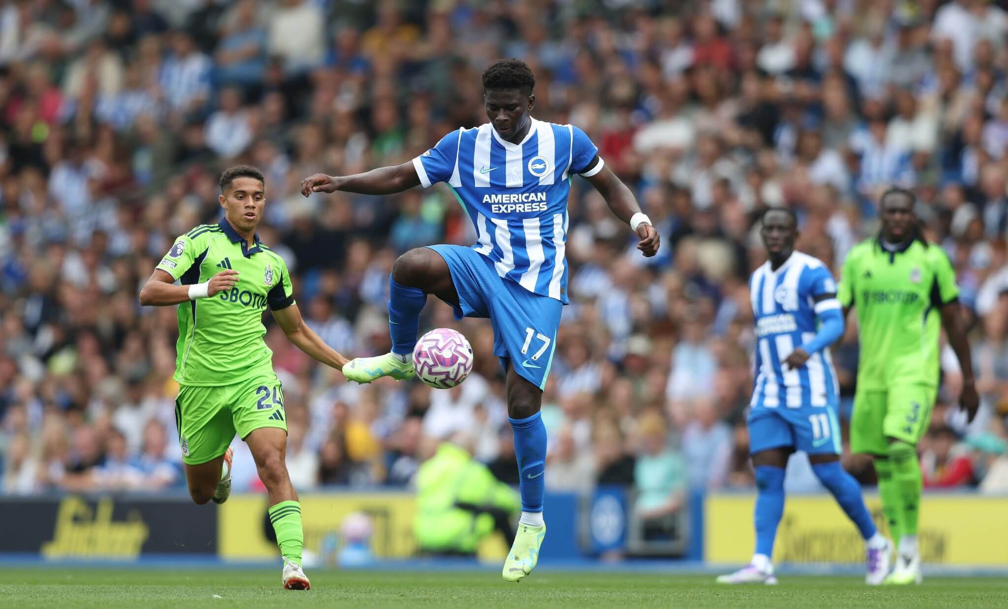 欧预赛新星崭露头角,实力惊人,带来惊喜!的简单介绍 欧预赛新星崭露头角,实力惊人,带来惊喜!的简单介绍